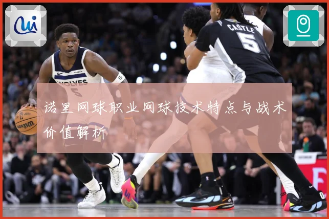 诺里网球职业网球技术特点与战术价值解析